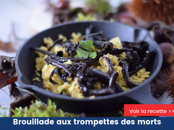 Brouillade aux trompettes des morts